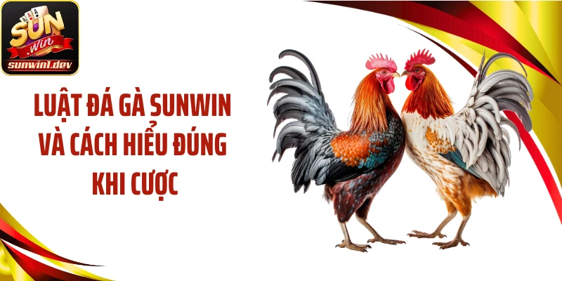 Luật Đá Gà SUNWIN Và Cách Hiểu Đúng Khi Cược